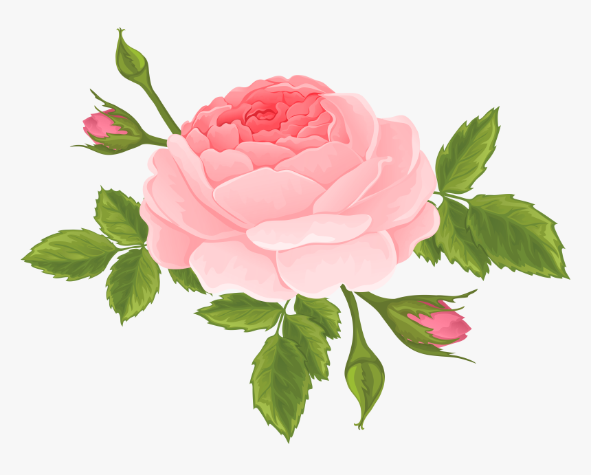 Flower Bud Png, Transparent Png