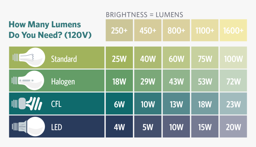 Many Lumens Do I Need - Light Bulb Brightness Guide, HD Png Download