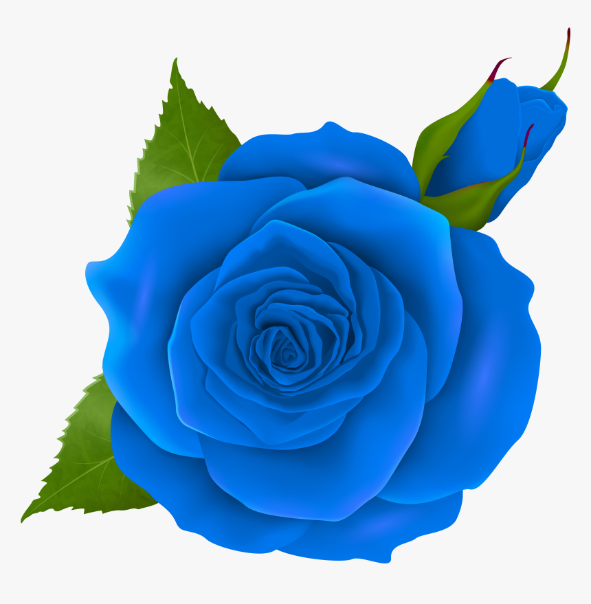 Flower Bud Png, Transparent Png