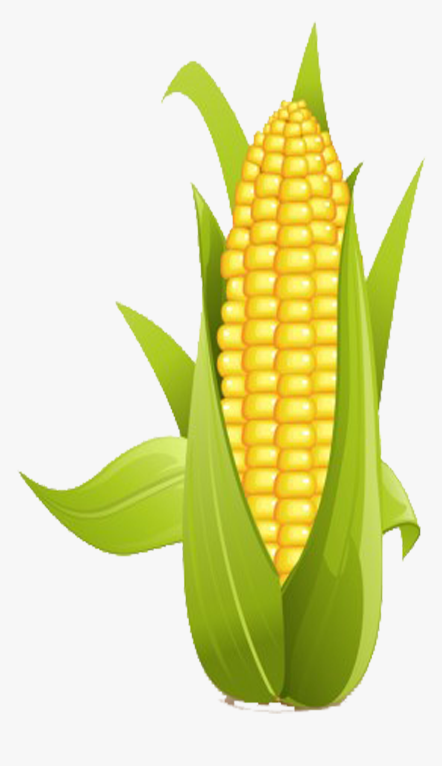 On The Cob Sweet - Corn Clip Art, HD Png Download