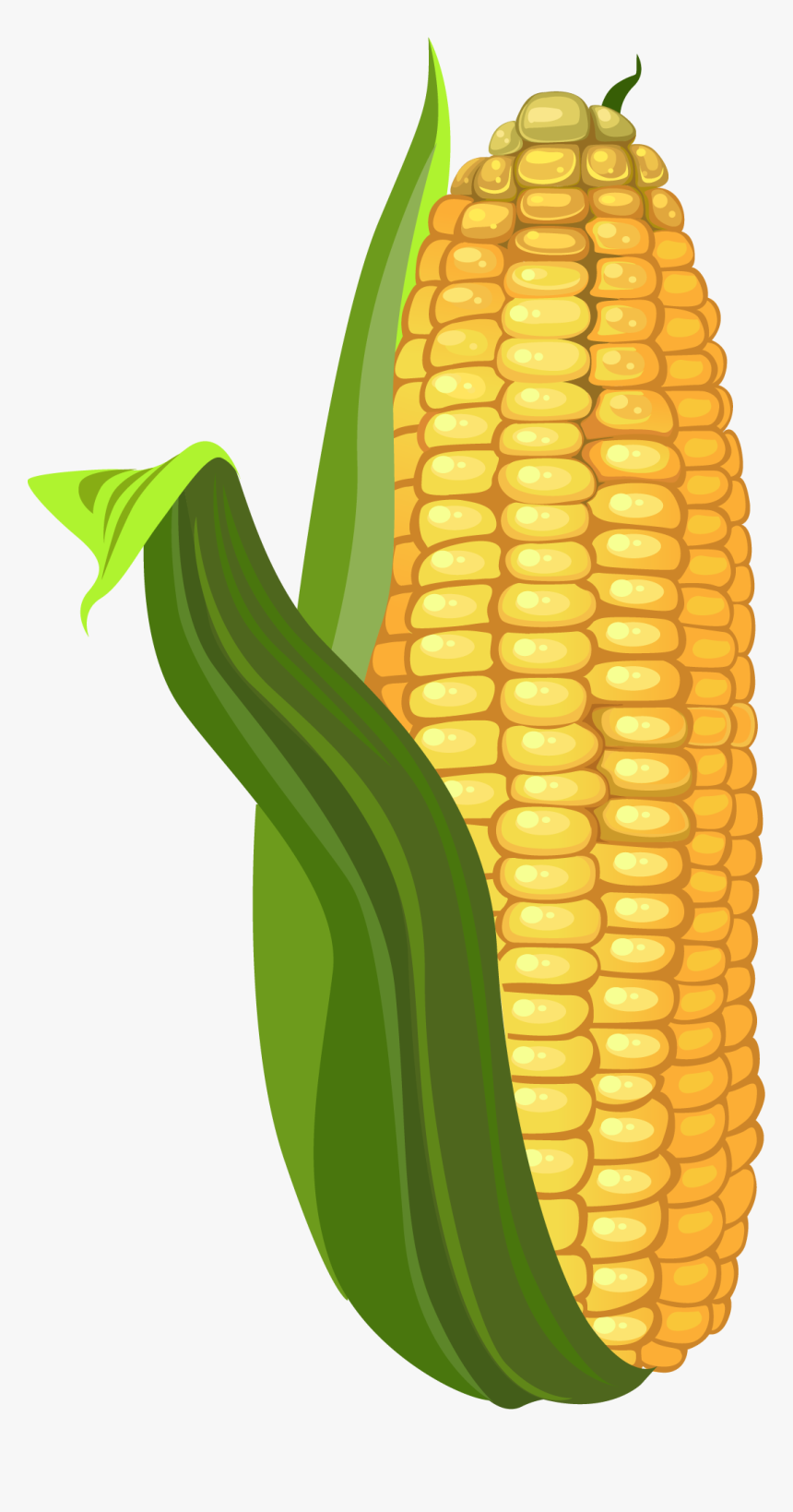 Corn Kernels, HD Png Download