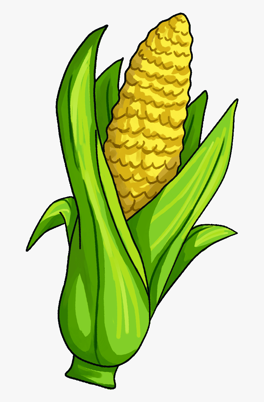 Kernel Clipart Canned Corn - Transparent Background Corn Clipart, HD Png Download