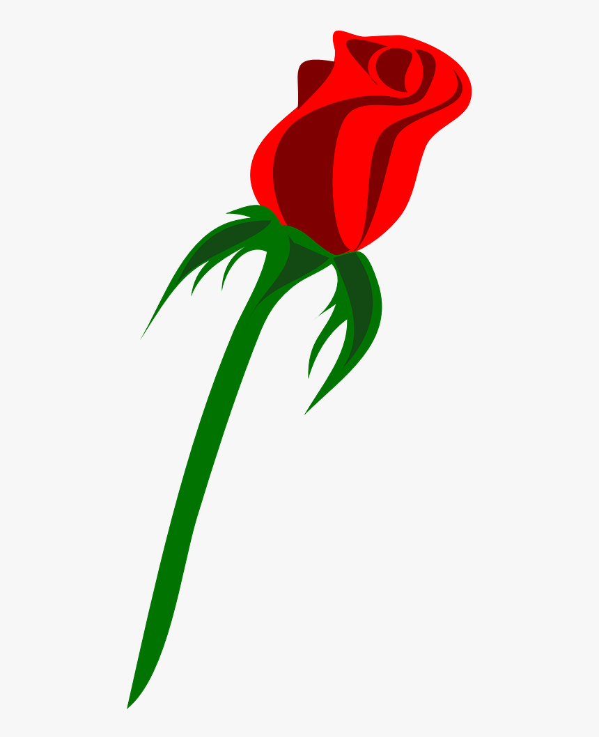 Rose Vector Transparent Png, Png Download