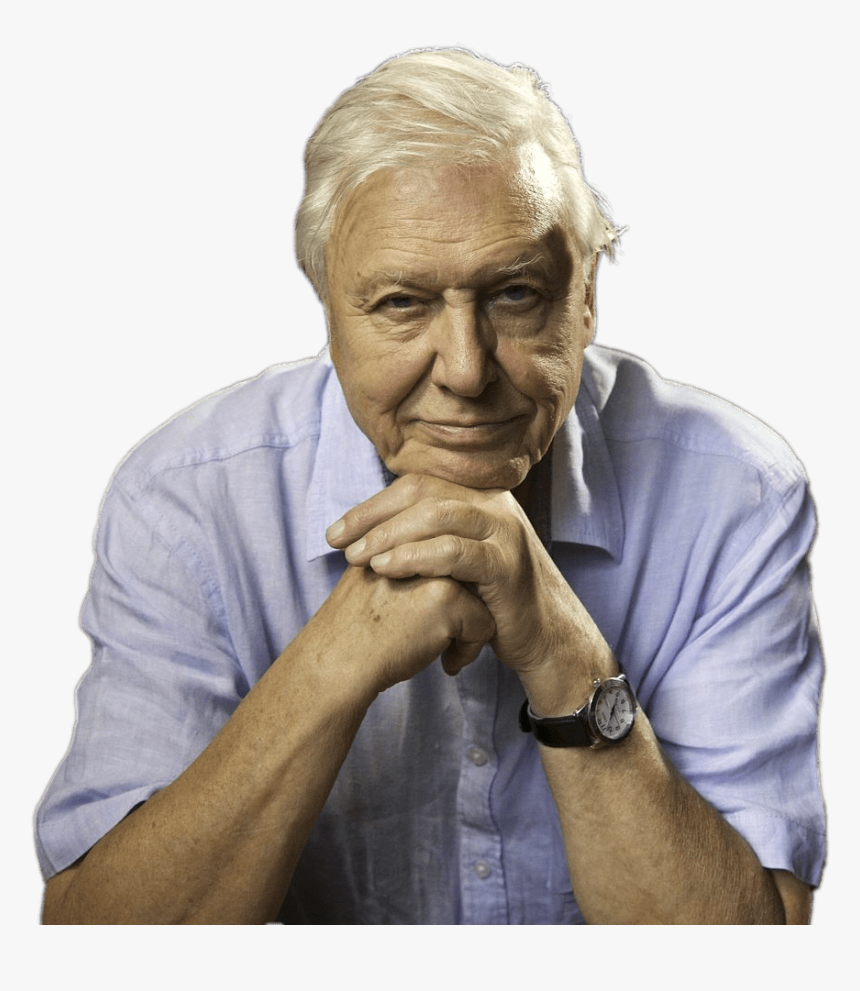 David Attenborough Sitting Png Image - David Attenborough Plastic Quotes, Transparent Png