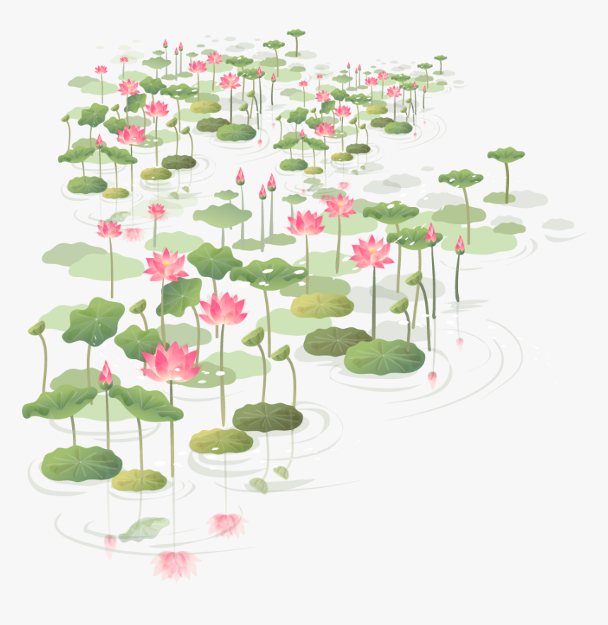 Hawthorn Euclidean Vector China Flower Wind Clipart - Shapla Flower Png, Transparent Png