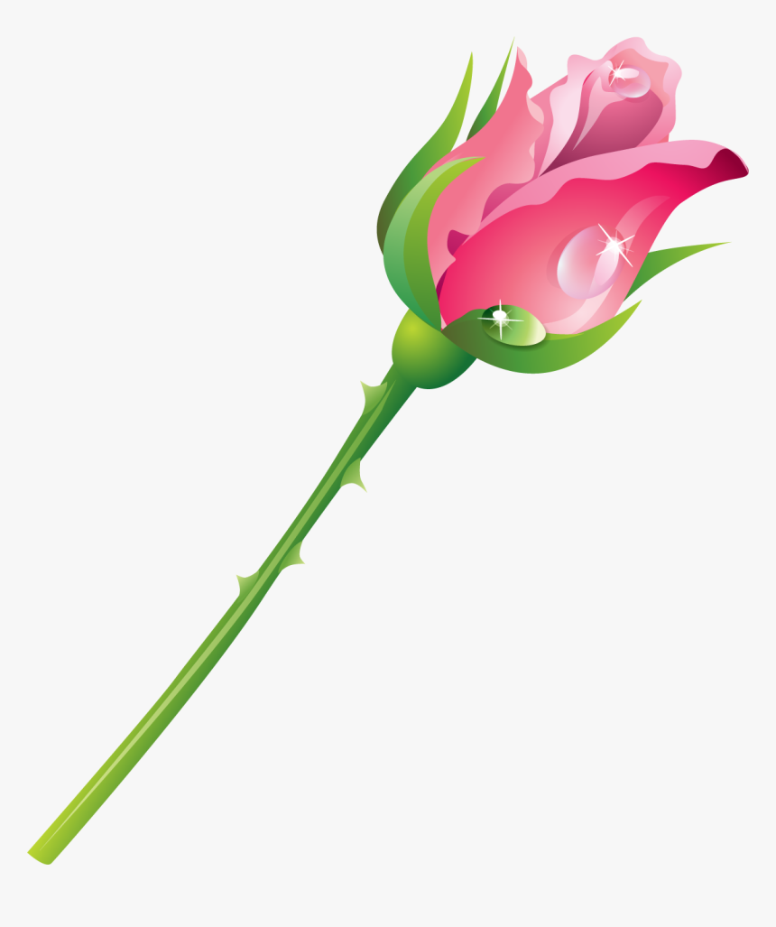 Hybrid Tea Rose, HD Png Download