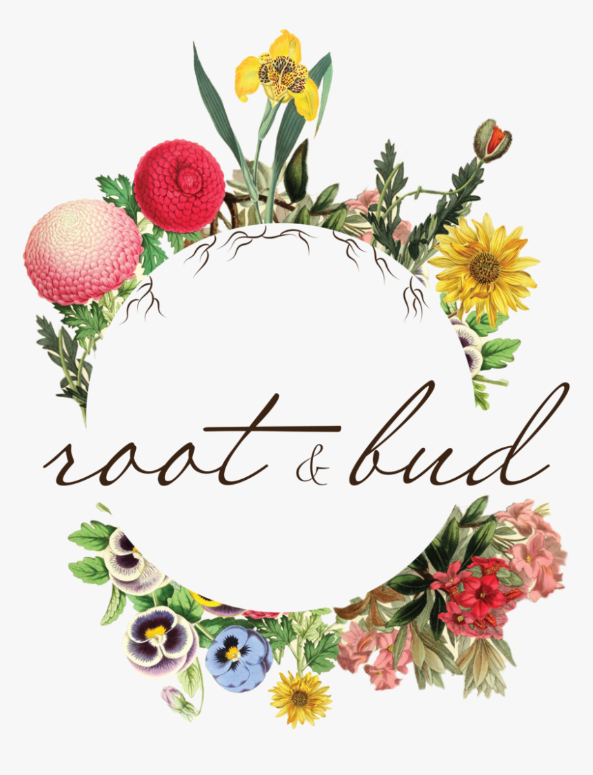 Zinnia - Chrysanths, HD Png Download