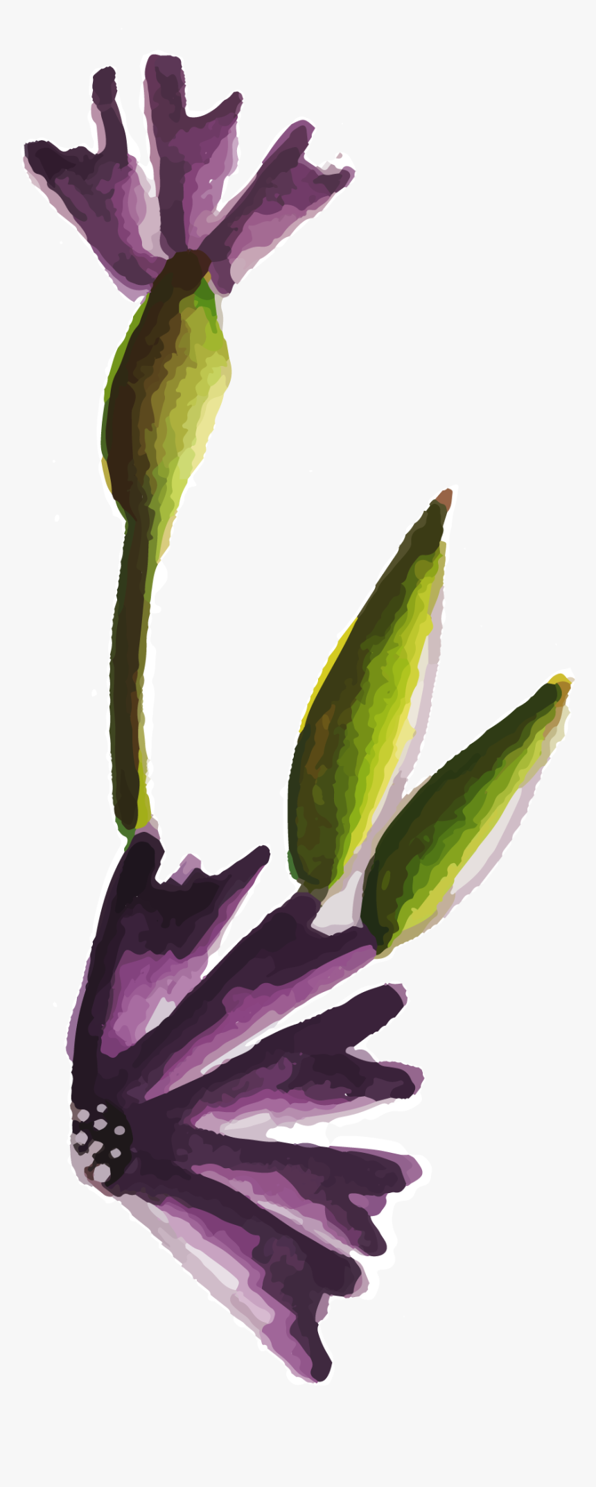 Bud, HD Png Download