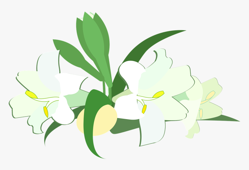 Lily, HD Png Download