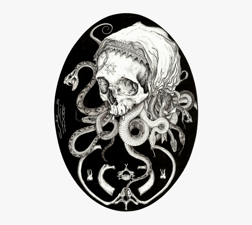 Transparent Snake Skeleton Png - Elias Aquino, Png Download