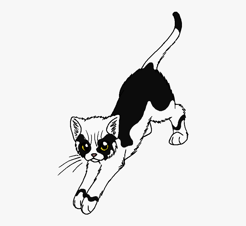 Black Ear - Domestic Short-haired Cat, HD Png Download