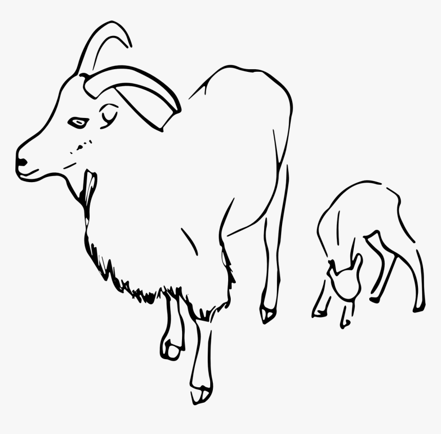 Goat Herd Clipart Black And White Png, Transparent Png