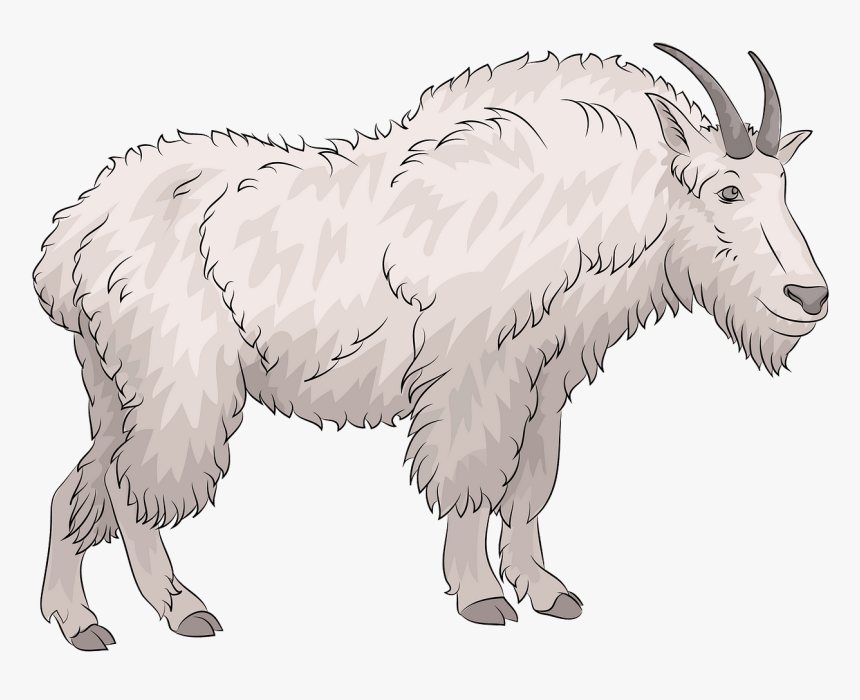 Goat, HD Png Download