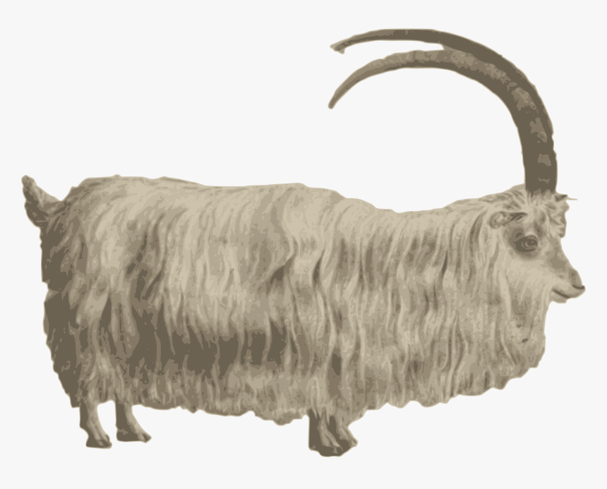 Gafr Mynydd Medium Image - Mountain Goat Png, Transparent Png
