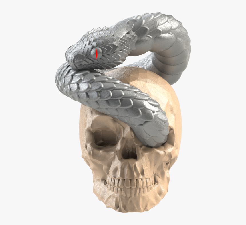 Skull, HD Png Download