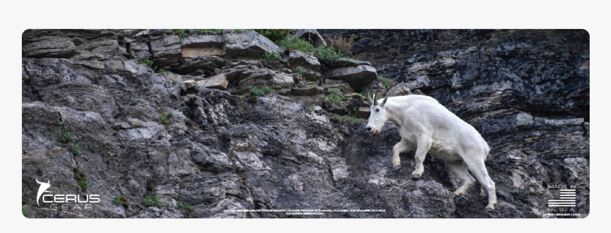 Mountain Goat Rifle Promat - Mountain Goat, HD Png Download