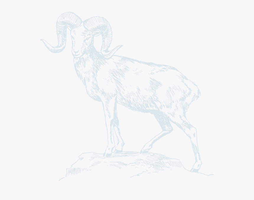 Mountain Goat Blue Svg Clip Arts - Keutamaan Qurban, HD Png Download