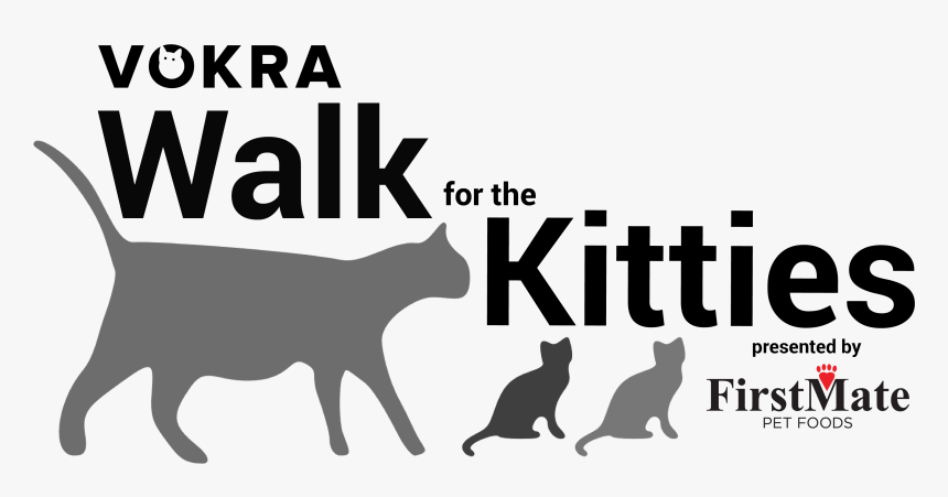 Transparent Cat Walking Png - Black Cat, Png Download