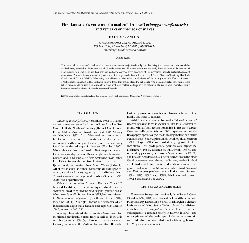 "seeking An American Art Of The Dance", HD Png Download