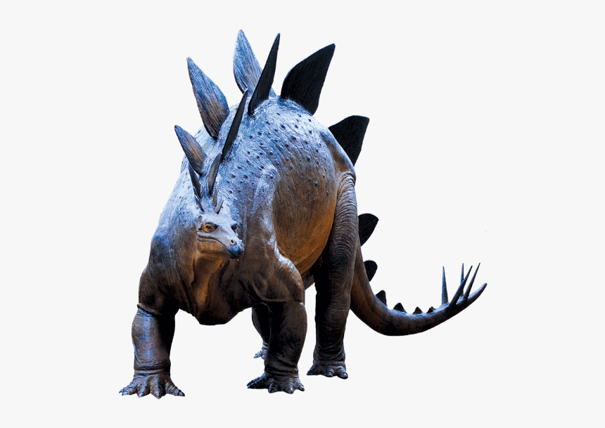 Triceratops, HD Png Download