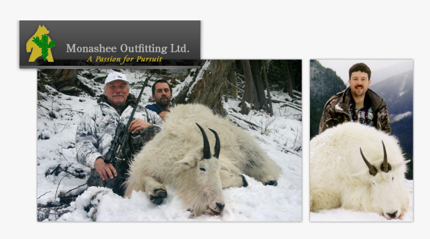 Monashee Outfitting Ltd - Mountain Goat, HD Png Download