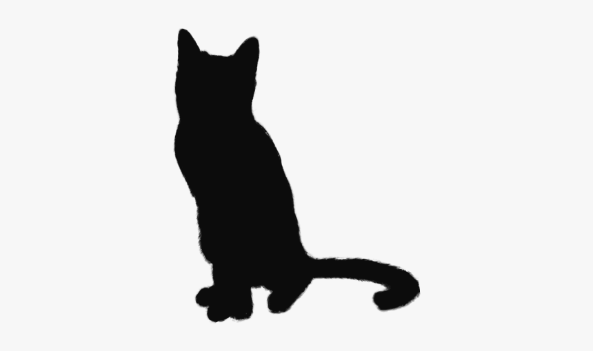 Black Cat, HD Png Download