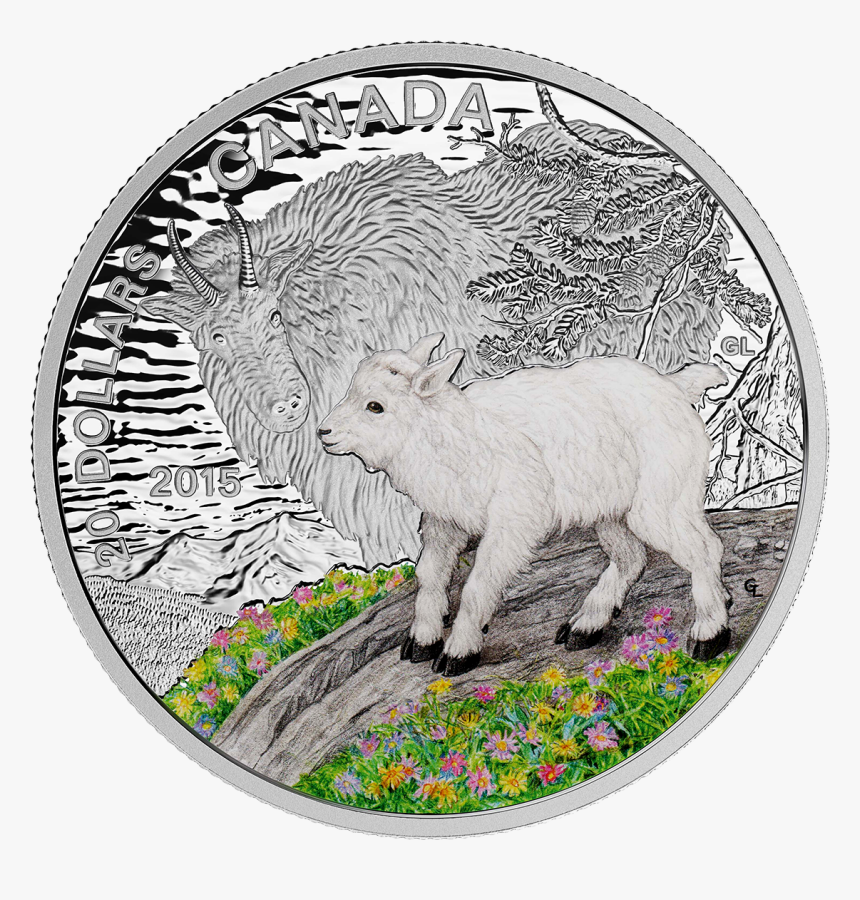 Baby Animals $20 Coin And Stamp Set, HD Png Download