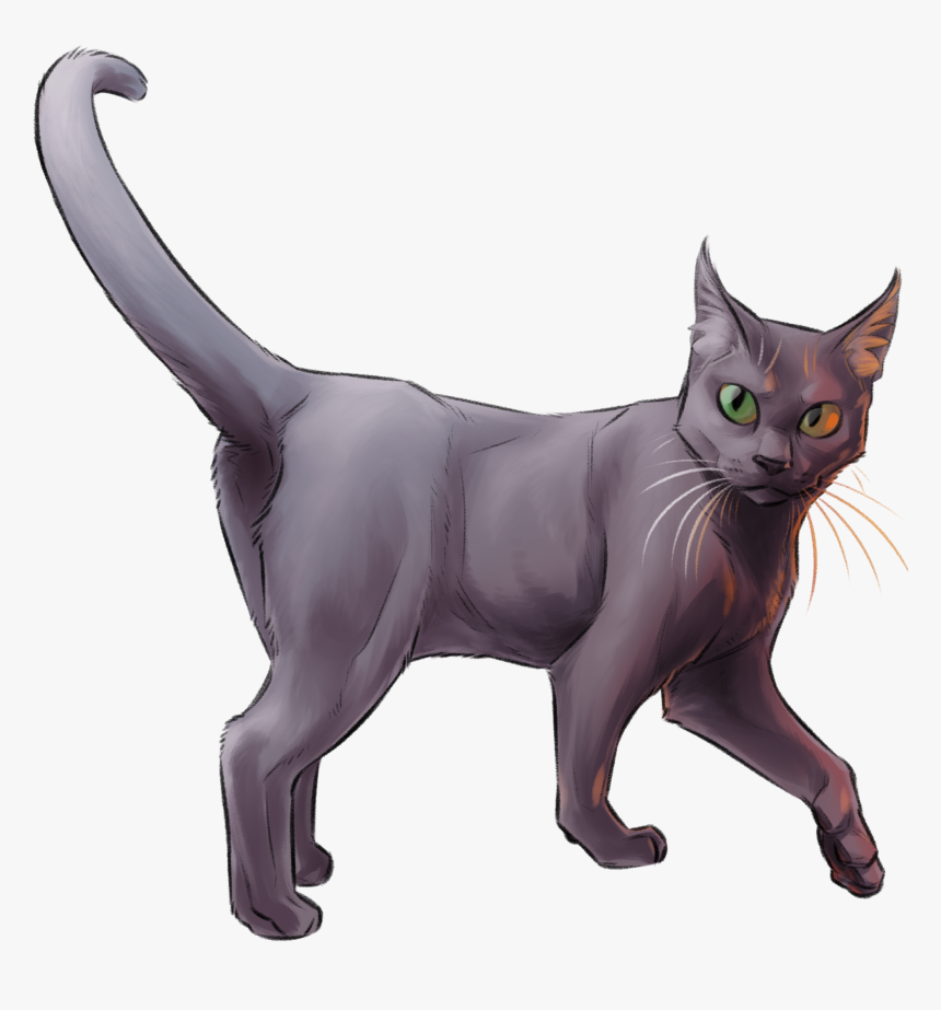 Mau Grimalkin, HD Png Download