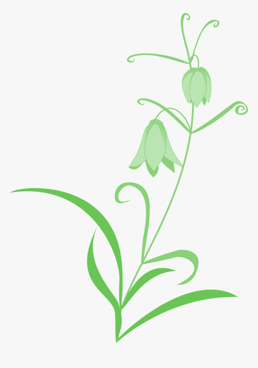 Pictures, Free Photos,, HD Png Download