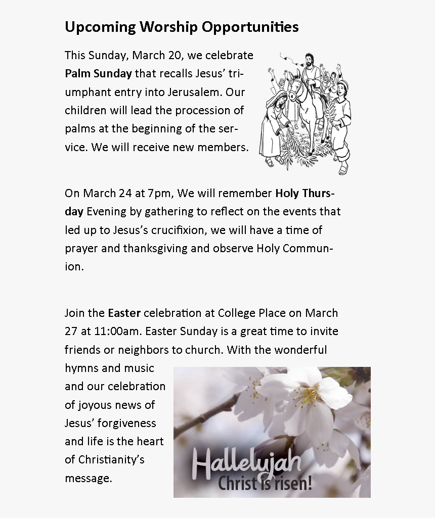 Jasmine, HD Png Download