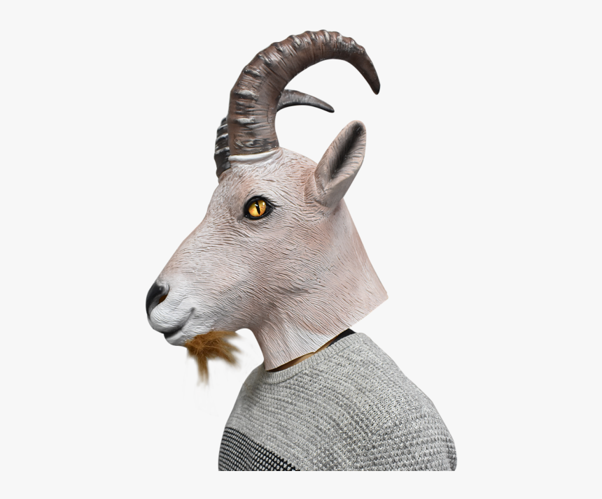 Picture 4 Of - Diy Mountain Goat Costume, HD Png Download