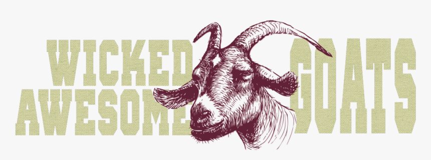 Wicked Awesome Goats - Stubborn Goat, HD Png Download