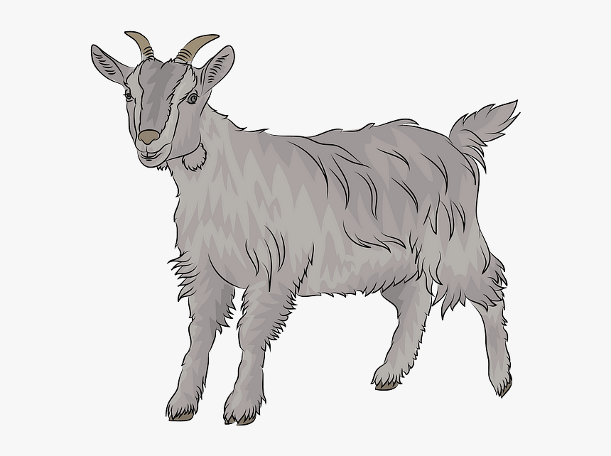 Goat Clipart, HD Png Download