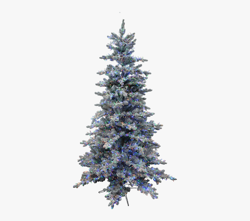 Christmas Tree, HD Png Download