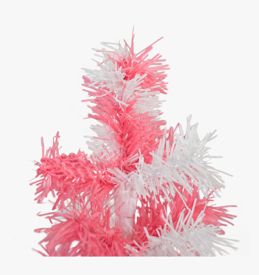 18 - Christmas Tree, HD Png Download