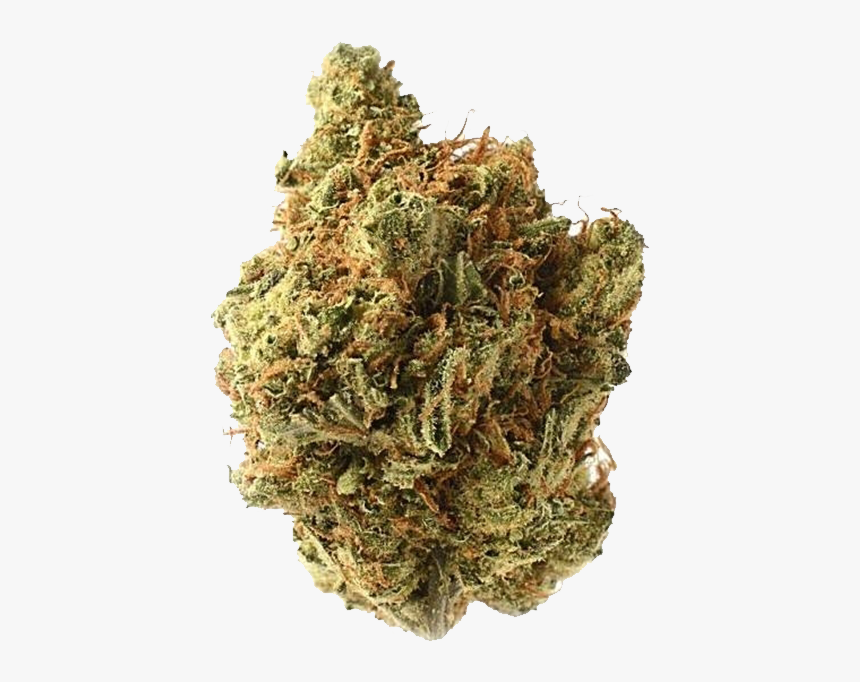 Amnesia Haze Amsterdam, HD Png Download