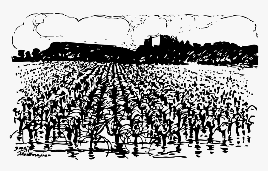 Vineyard Clipart Free - Farming Clipart Black And White, HD Png Download