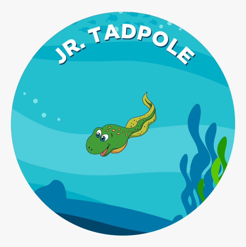Tadpole Clipart Foot - Tadpole In Water Clipart, HD Png Download