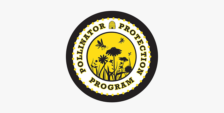 Pollinator Protection Program - Compass Rose For Kids, HD Png Download