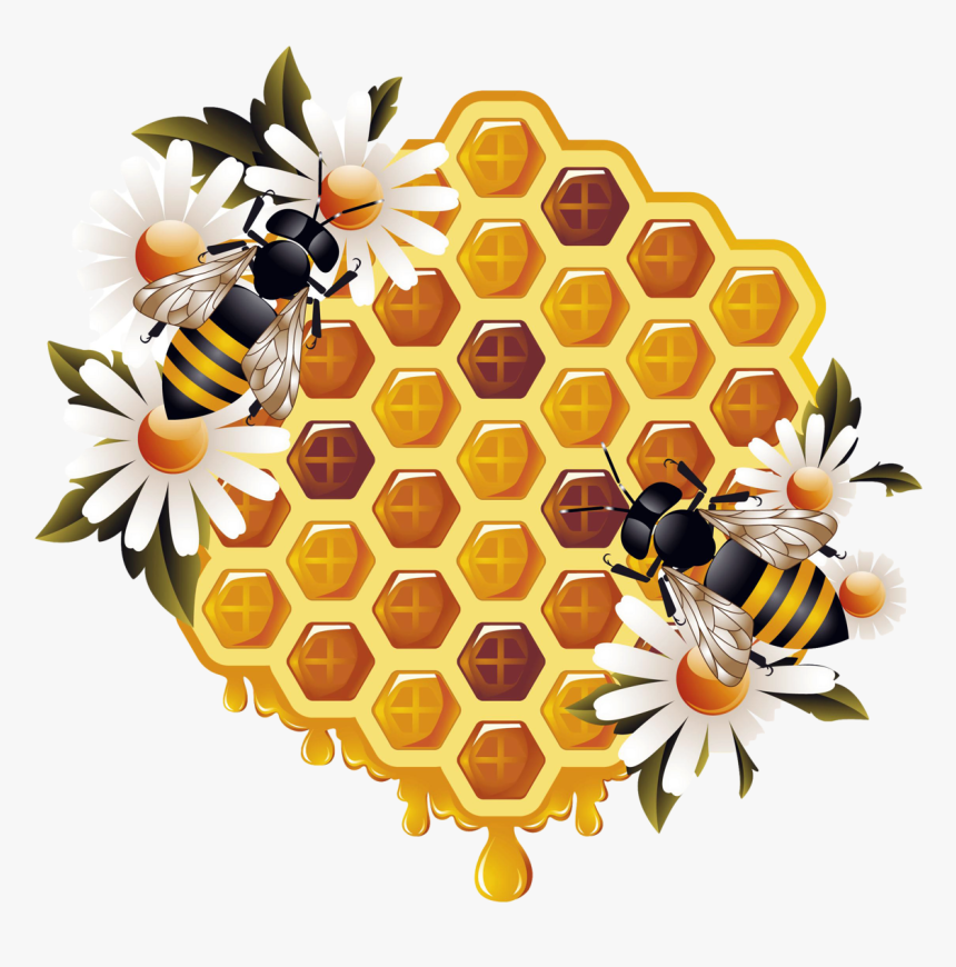 Honey And Bee Png, Transparent Png