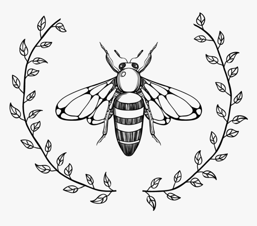 Transparent Bee Line Art, HD Png Download