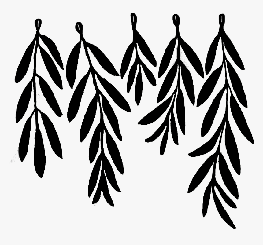 Olive Leaf Drawing , Png Download Clipart , Png Download - Template Olive Branch Invitation, Transparent Png
