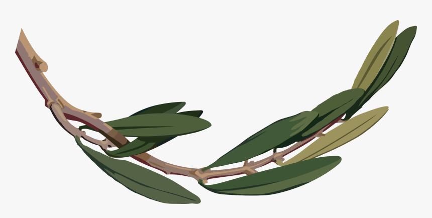 Botany,plant,flower - Olive Branch Png Png, Transparent Png