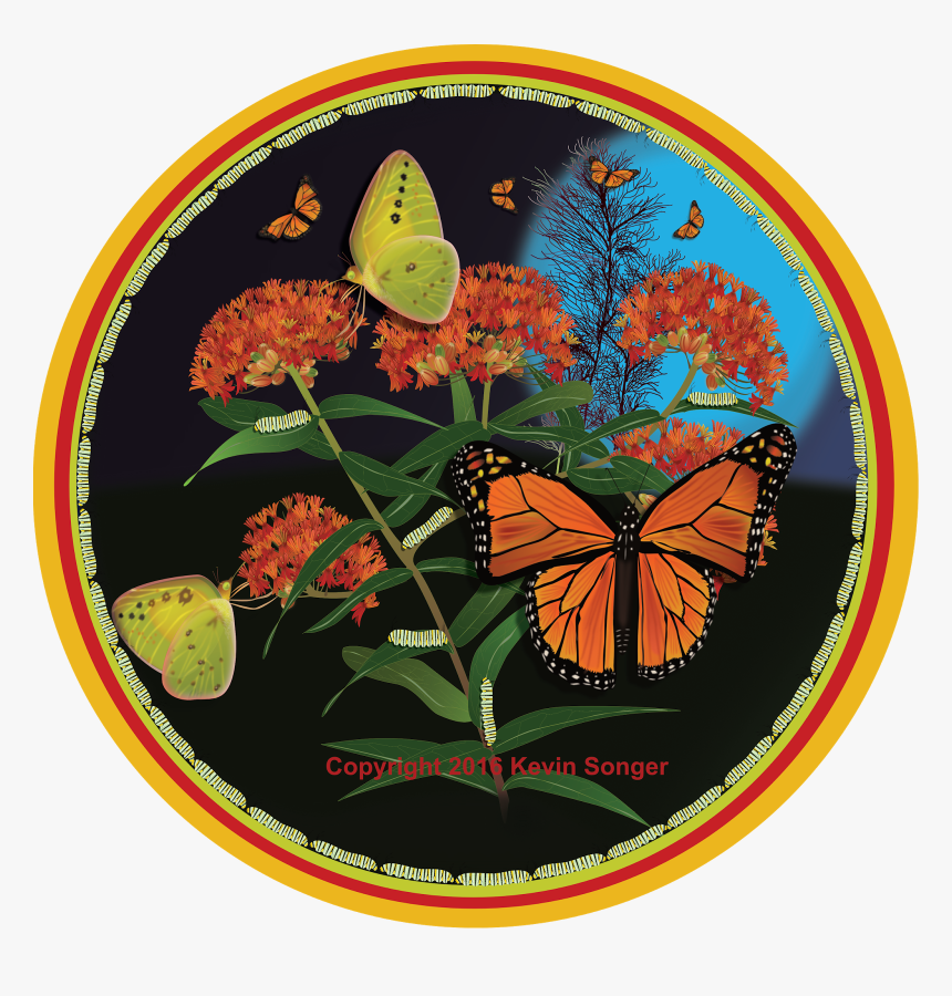 Florida Nature Art, Monarch And Milkweed - Monarch Butterfly, HD Png Download