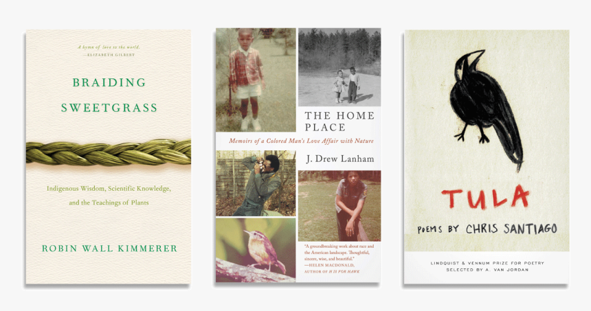 American Crow, HD Png Download