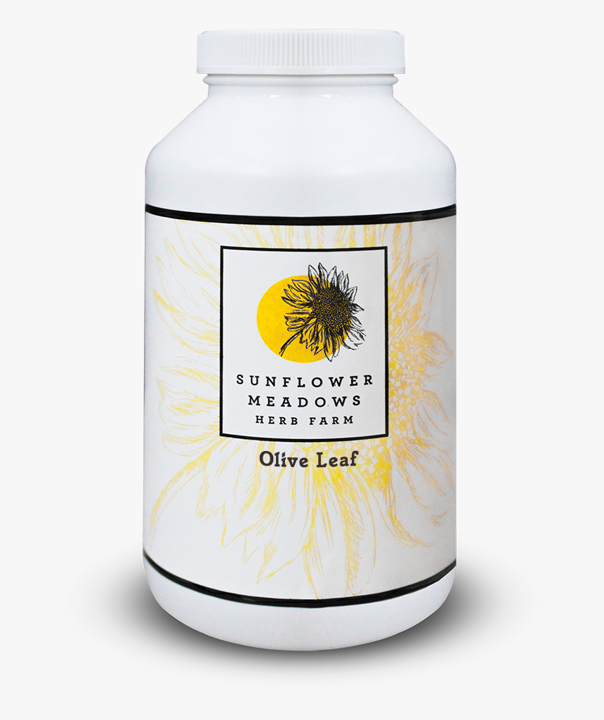 Transparent Olive Leaf Png - Camomile, Png Download