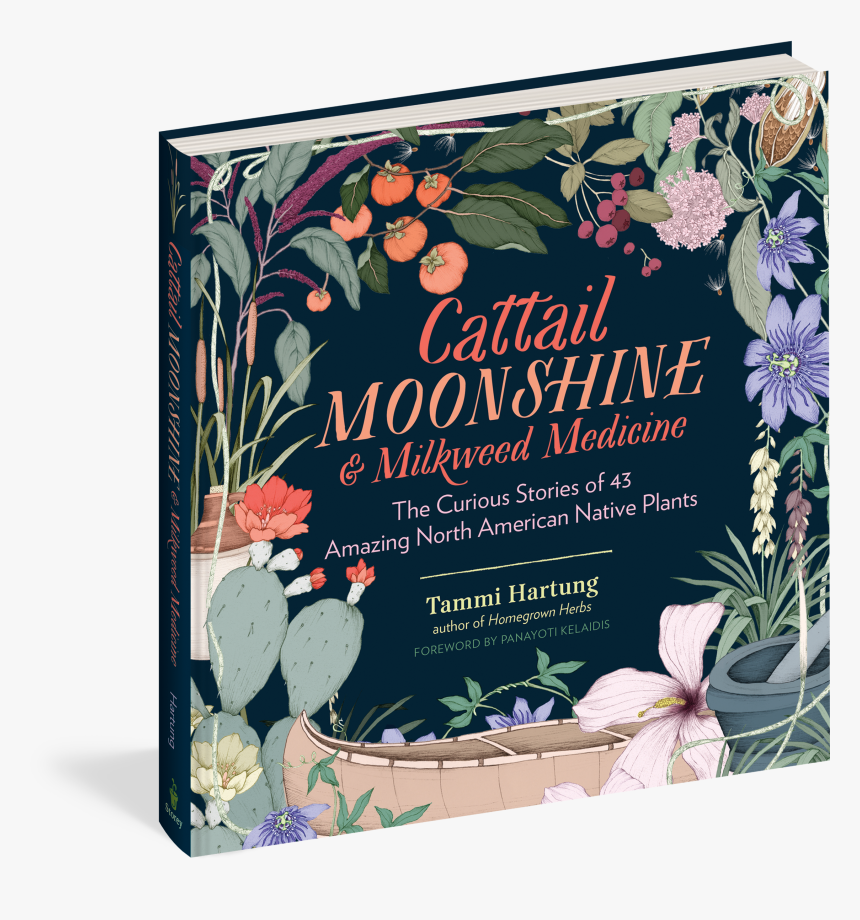 Cover - Cattail Moonshine & Milkweed Medicine: The Curious, HD Png Download