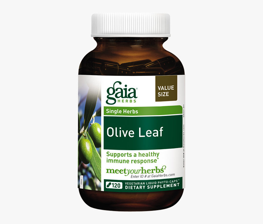 Gaia Olive Leaf 120 Liquid Filled Capsules - Gaia Thyroid Support, HD Png Download
