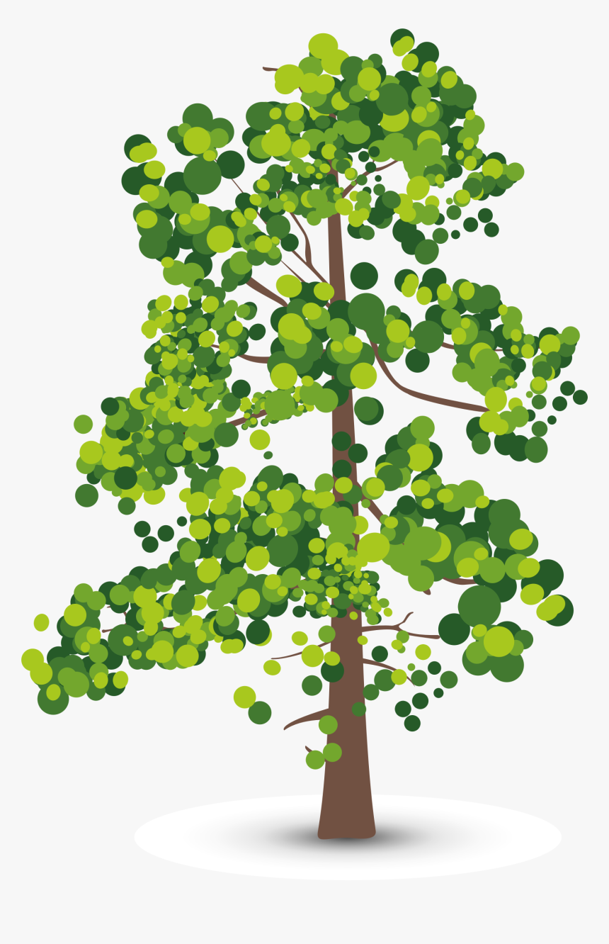 Aspen Tree Creative Perspective Olive Leaf Shadow Clipart - Lidar Number Of Returns, HD Png Download