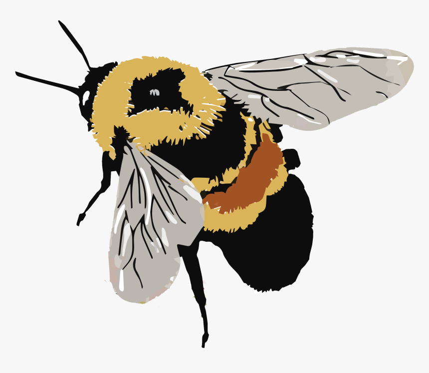 Lawns To Legumes, HD Png Download